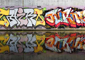 Bay Area Graffiti by Steve Rotman & Chris Brennan - Mindzai
 - 4