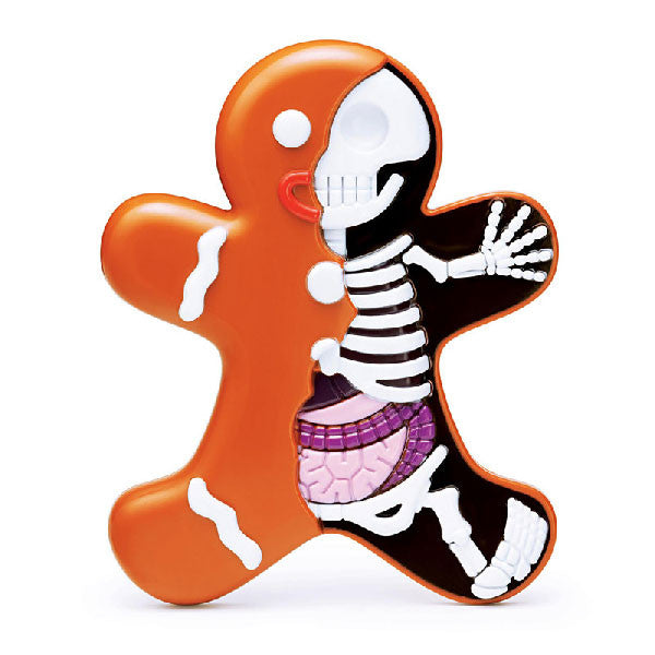 Dissected Gingerbread Man by Jason Freeny - Mindzai